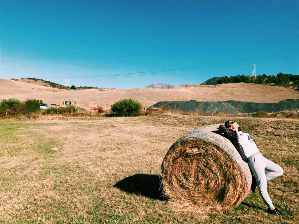 Llegó Silvia a Manfred