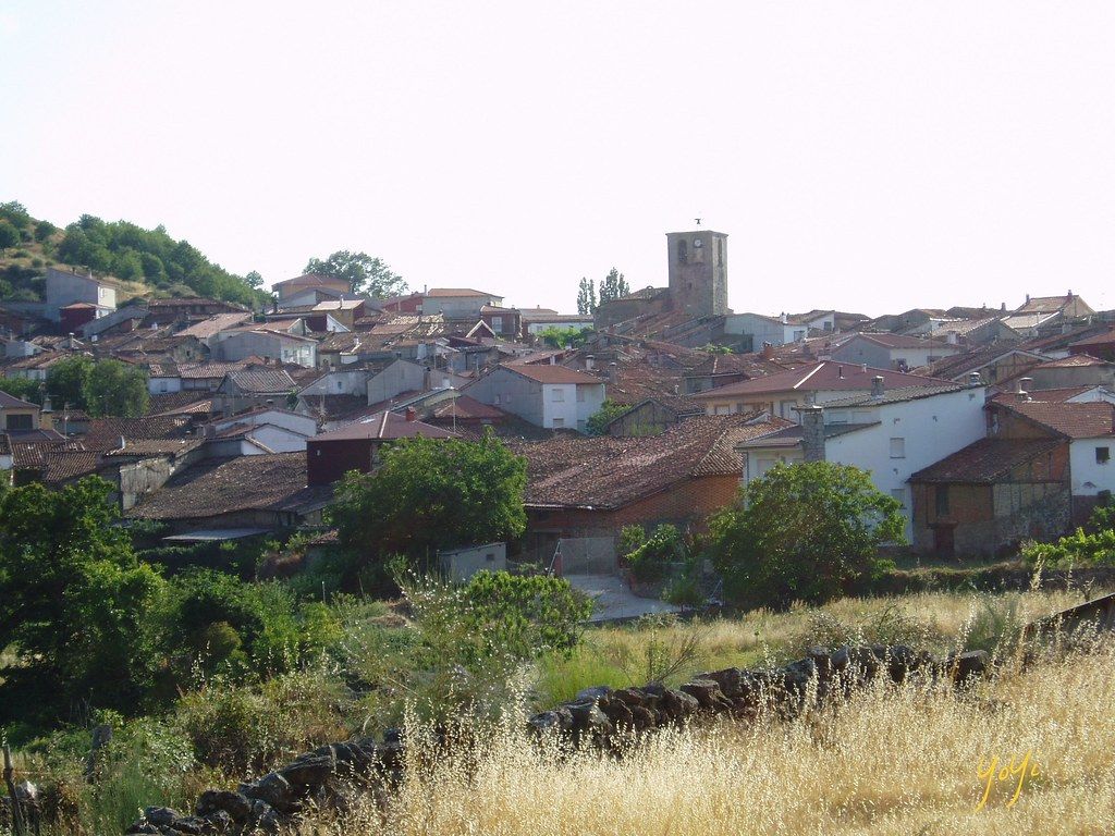 Luis Alberto